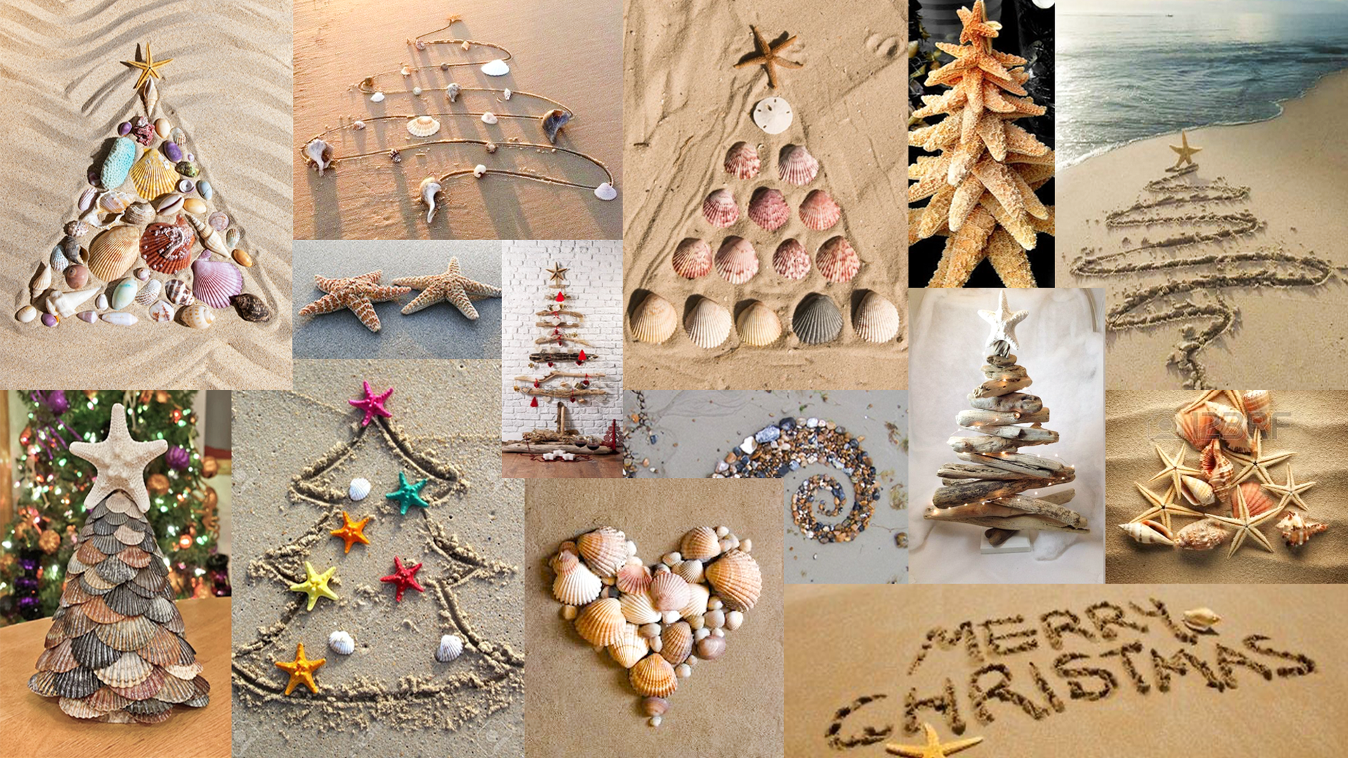 Christmas beach party poster moodboard