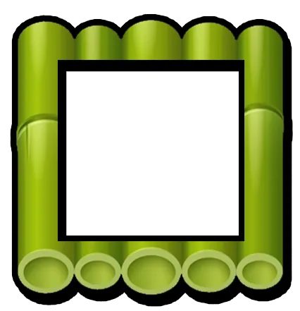 Bamboo border