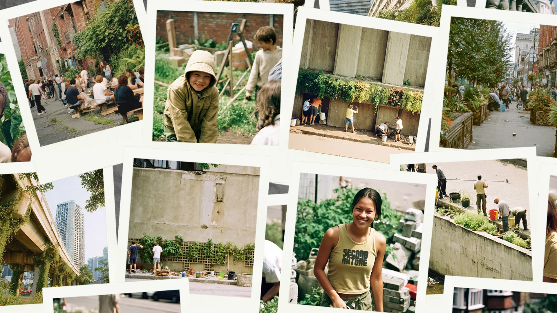 Second Nature polaroid photo collection