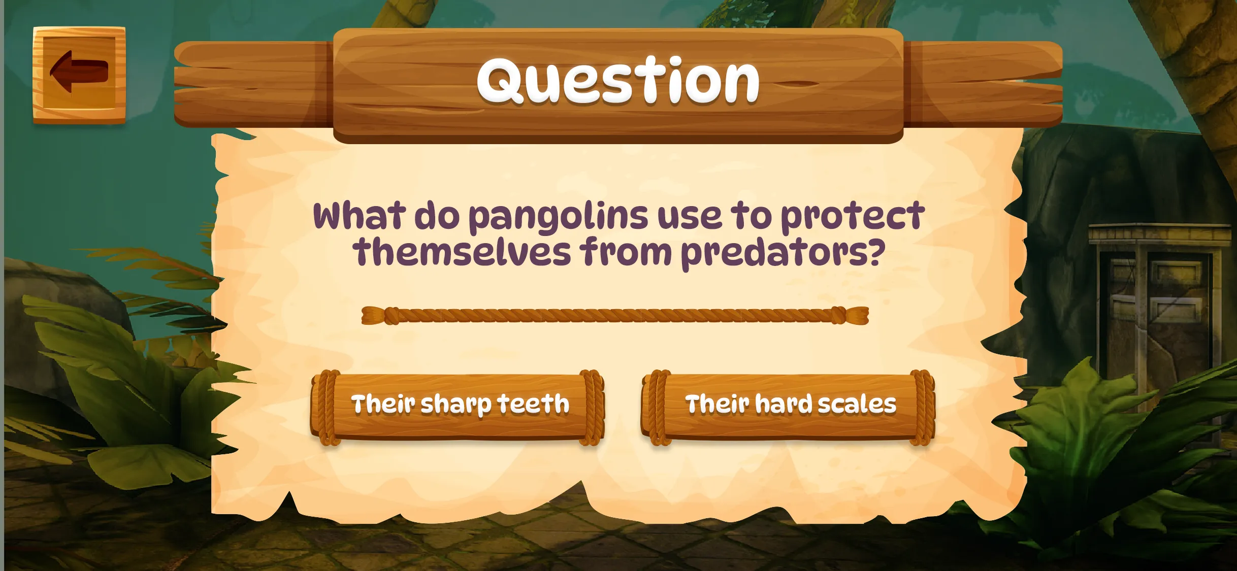 Pangolin app question screen